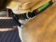 Bark Busters NYLON "Communication' Training Collar. One of the best training collars on the market X Sml, Sml, Med, Lge, X Lge.