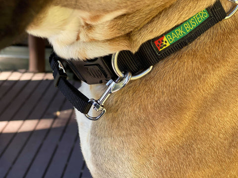 Bark Busters NYLON "Communication' Training Collar. One of the best training collars on the market X Sml, Sml, Med, Lge, X Lge.
