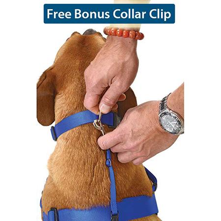 waggwalker-collar-clip-global-dog-company-au